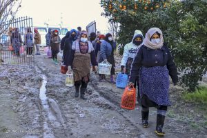 انگشت اشاره اتهام زنی کرونادرغرب گلستان به کارگران فصلی