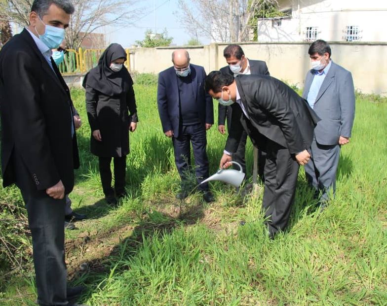 غرس چندین اصل نهال با حضور مدیر مخابرات منطقه گلستان