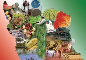 آخرین فرصت دستگاه‌های مختلف برای ارائه نظر در خصوص سند امنیت غذایی کشور