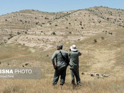 نیاز منطقه حفاظت شده میاندشت به ۲۵ نفر نیروی محیط بان