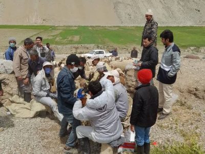 برگزاری اردوهای جهادی دامپزشکی در روستاهای مرزی خراسان شمالی