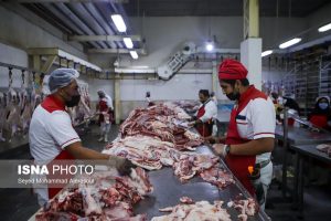 تامین ۲۵ درصد گوشت کشور در خراسان شمالی