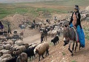 تثبیت راه ها یکی از نیازهای اساسی عشایر خراسان شمالی