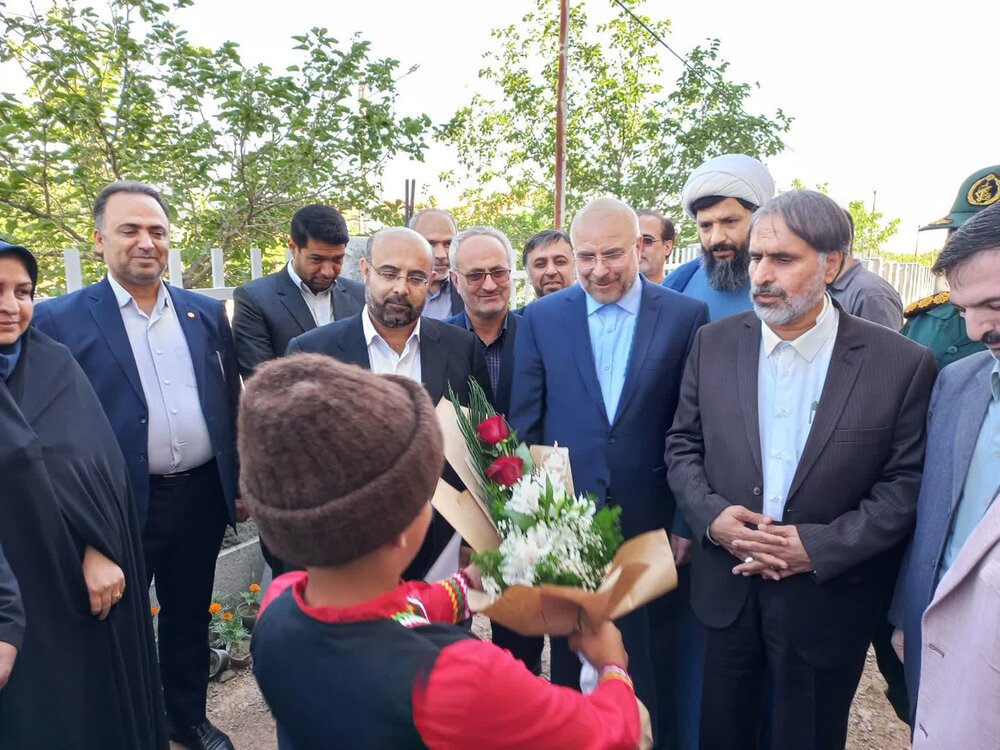 بازدید رییس مجلس شورای اسلامی از پروژه‌های صنعتی شیروان