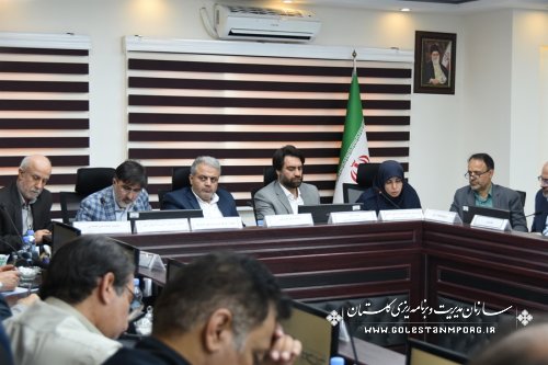 حضور معاونت آمار و اطلاعات سازمان مدیریت و برنامه ریزی استان گلستان در گردهمایی معاونان آمار