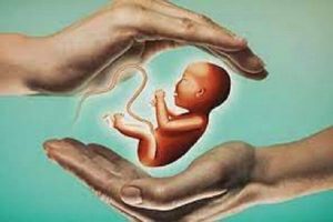 آخرین وضعیت اجرای طرح نفس در دانشگاه علوم پزشکی خراسان شمالی