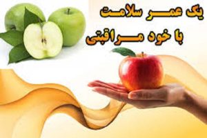 ارائه آموزش‌های خودمراقبتی فردی توسط ۷۱ هزار سفیر سلامت در خراسان شمالی