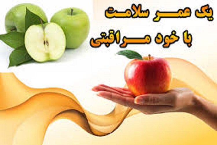ارائه آموزش‌های خودمراقبتی فردی توسط ۷۱ هزار سفیر سلامت در خراسان شمالی