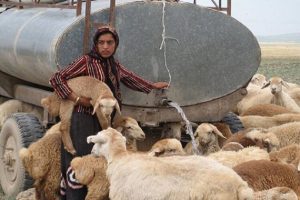 حذف تردد ۵۰ تانکر آبرسان عشایری با تکمیل فاز نخست پروژه آبرسانی گلیل و سرانی