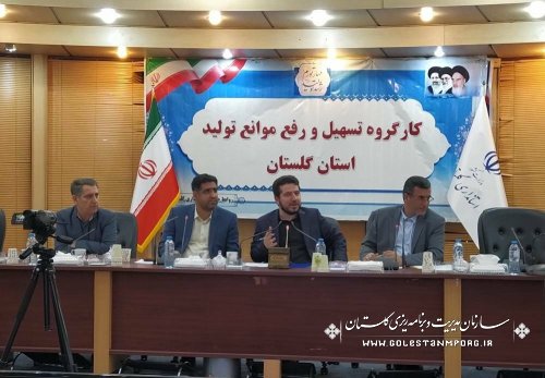 رئیس سازمان مدیریت و برنامه ریزی گلستان در جلسه کارگروه تسهیل و رفع موانع تولید استان:
