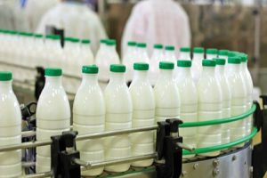 شیر خام در اوج التهاب؛ سفره مردم زیر فشار