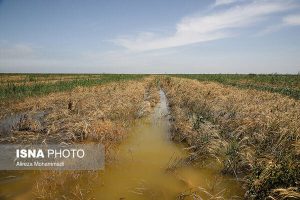 پاکسازی محورهای روستایی سیل زده شهرستان راز و جرگلان