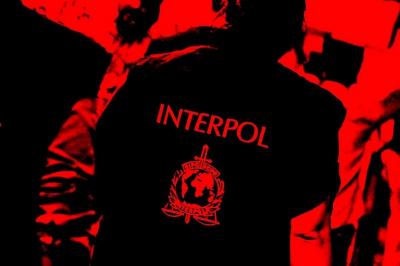 اینترپل پلت فرم shop16 را به عنوان یک سرویس فیشینگ تعطیل کرد