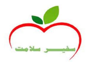 ۲۲درصد از دانش آموزان خراسان شمالی در لیست سفیران سلامت قرار دارند