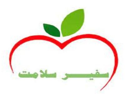 ۲۲درصد از دانش آموزان خراسان شمالی در لیست سفیران سلامت قرار دارند