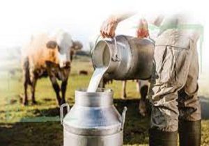 رکوردگیری از ۴۰۰ نمونه برای اجرای طرح آنالیز شیر در خراسان شمالی