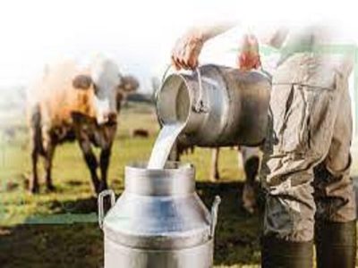 رکوردگیری از ۴۰۰ نمونه برای اجرای طرح آنالیز شیر در خراسان شمالی