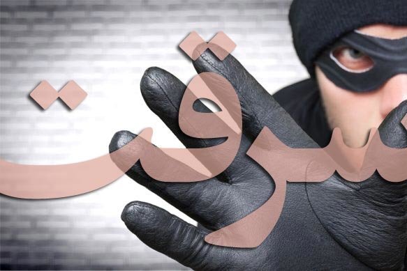 سرقت‌های خُرد ۶۰ درصد پرونده‌های سرقت در خراسان شمالی