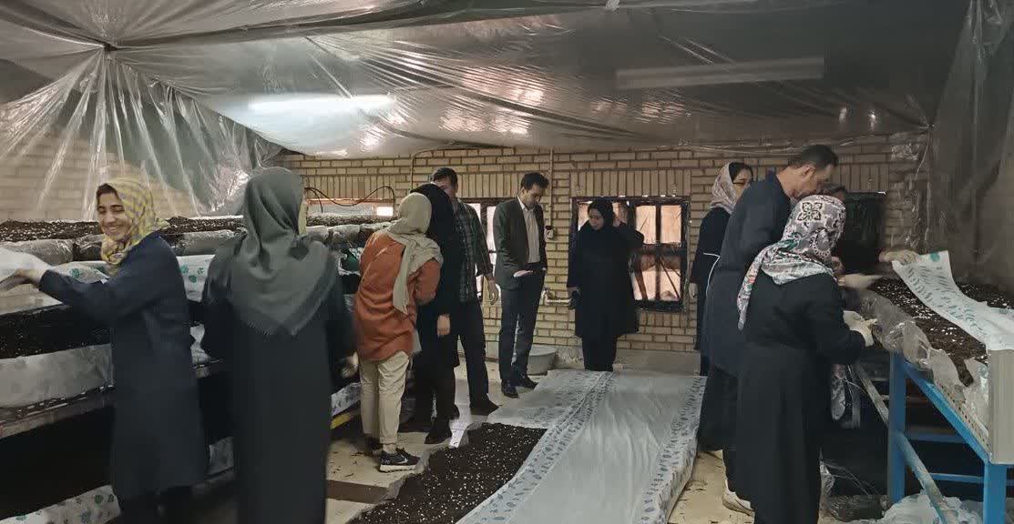 مهیاسازی بستر نیروهای ماهر بر حسب نیازسنجی از طریق مراکزآموزش‌فنی‌و‌حرفه‌ای
