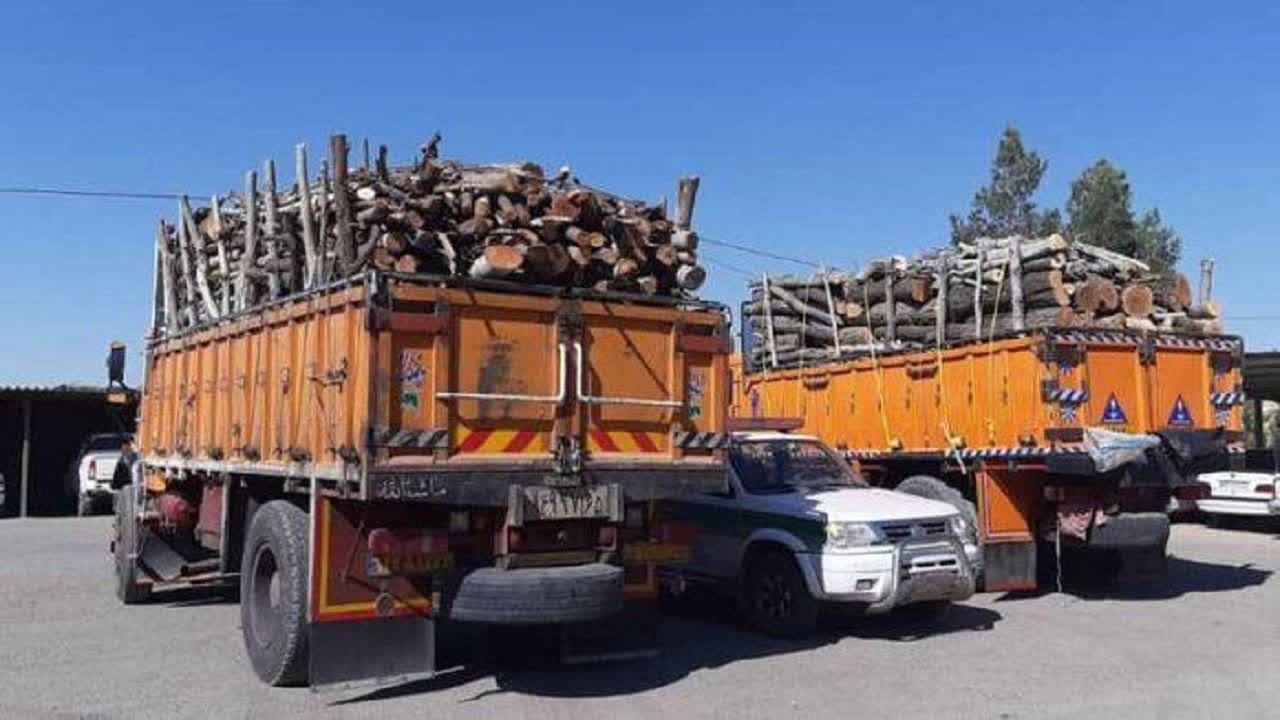 ممنوعیت صدور هر نوع مجوزقطع‌وحمل‌چوب تا۱۵فروردین