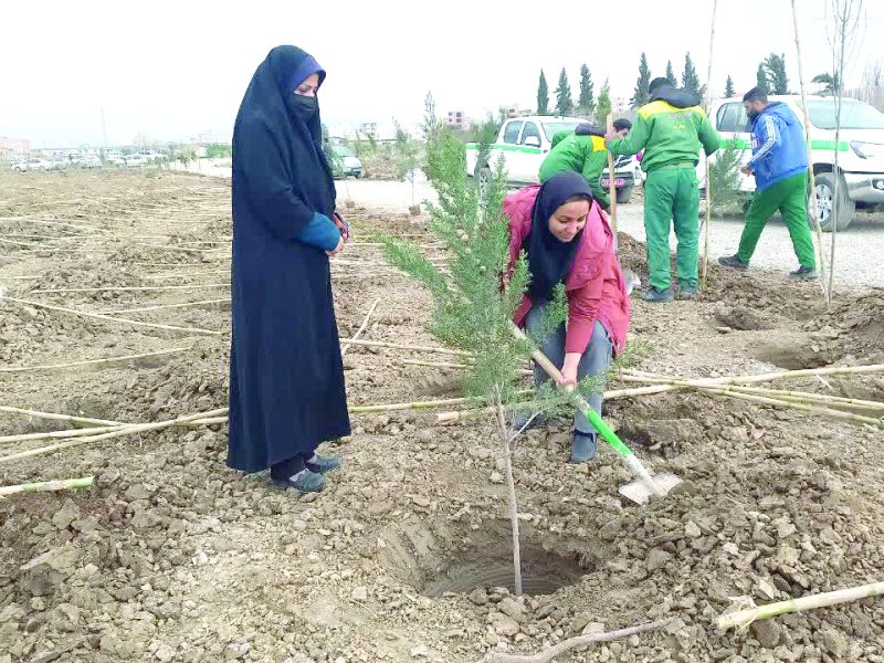 به وقت درختکاری