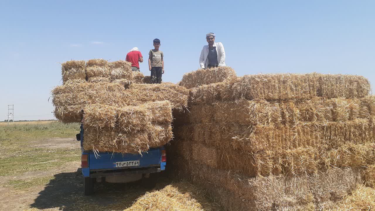دپوی کاه در مراتع ممنوع