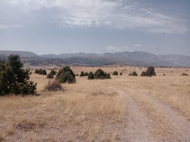 بازگشت‌زمین‌۱۶۳۱مترمربعی به مناطبع‌طبیعی