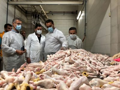 زنجیره طیور گلستان در مرز ورشکستگی/هشدار فعالان اقتصادی به دولت