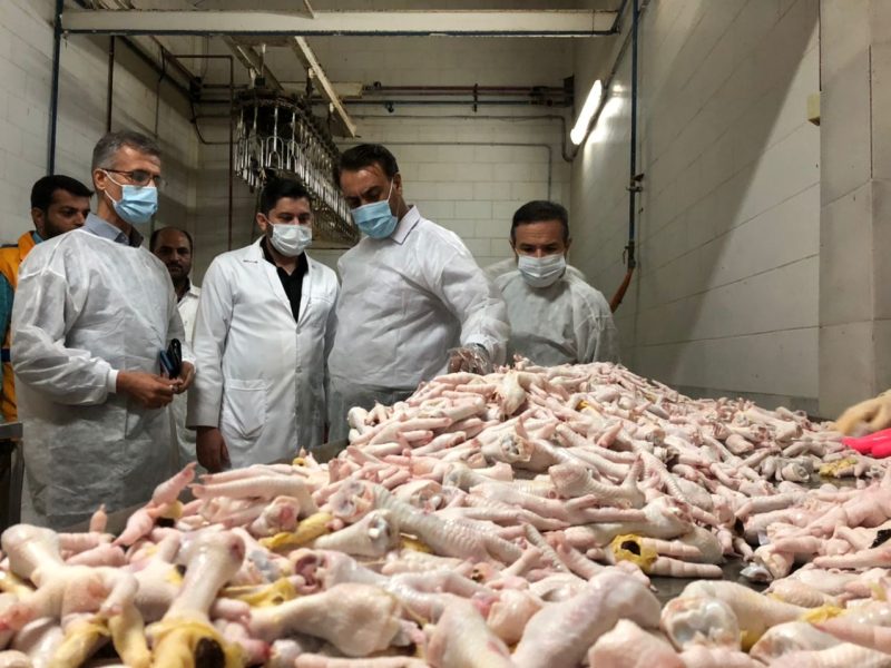 زنجیره طیور گلستان در مرز ورشکستگی/هشدار فعالان اقتصادی به دولت