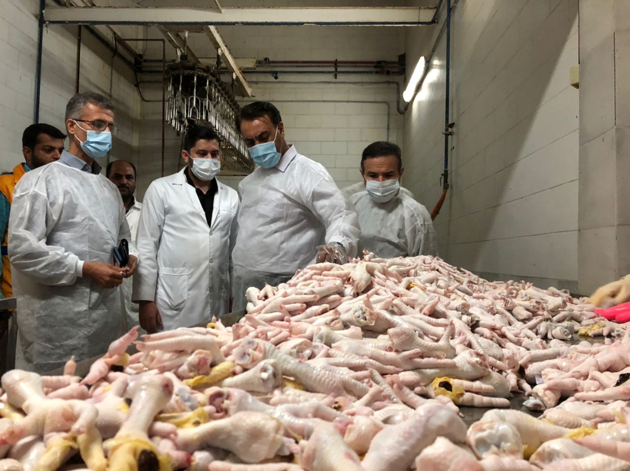 زنجیره طیور گلستان در مرز ورشکستگی/هشدار فعالان اقتصادی به دولت