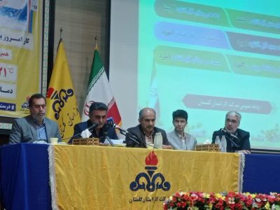 قطع گاز مشترکان خانگی در شرایط بحرانی منتفی است