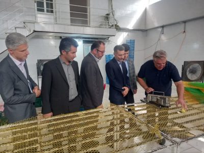 حمایت از تولید و میراث فرهنگی، اولویت بازرسی کل استان گلستان