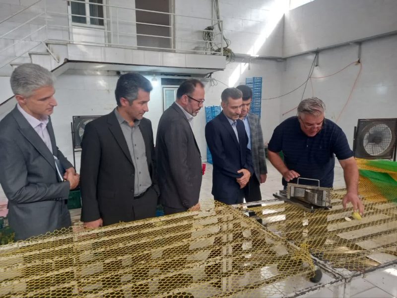 حمایت از تولید و میراث فرهنگی، اولویت بازرسی کل استان گلستان