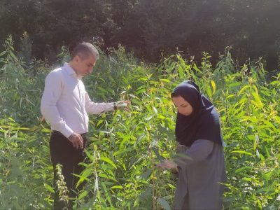 مدیریت هوشمند منابع طبیعی گلستان؛ از رفع تصرف تا توسعه پایدار