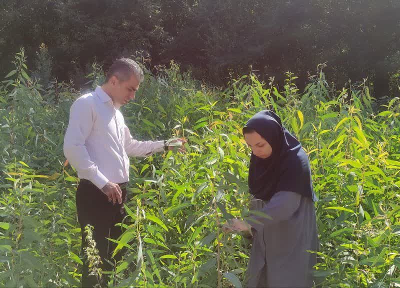 مدیریت هوشمند منابع طبیعی گلستان؛ از رفع تصرف تا توسعه پایدار