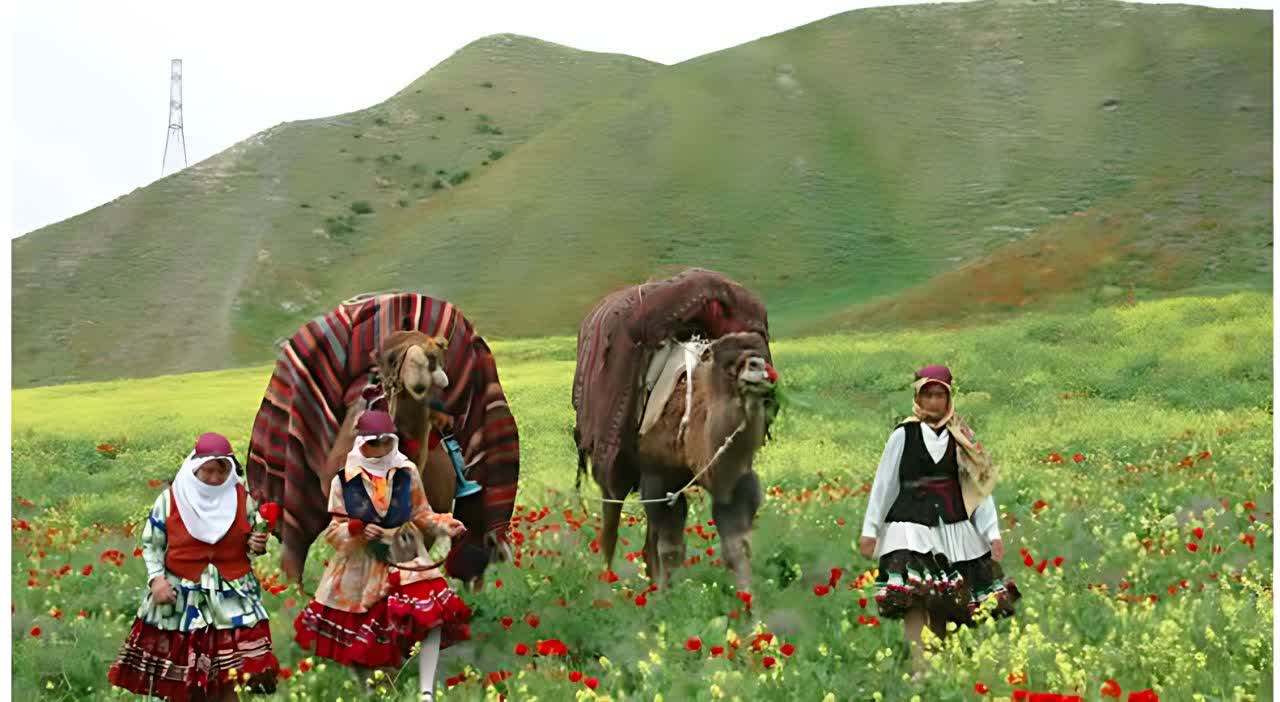 آیا قوشمه یک واژه کردی است؟