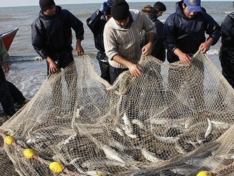 بازار ماهی بندرترکمن؛ سفره‌ای گسترده از خزر تا اقتصاد مردمی