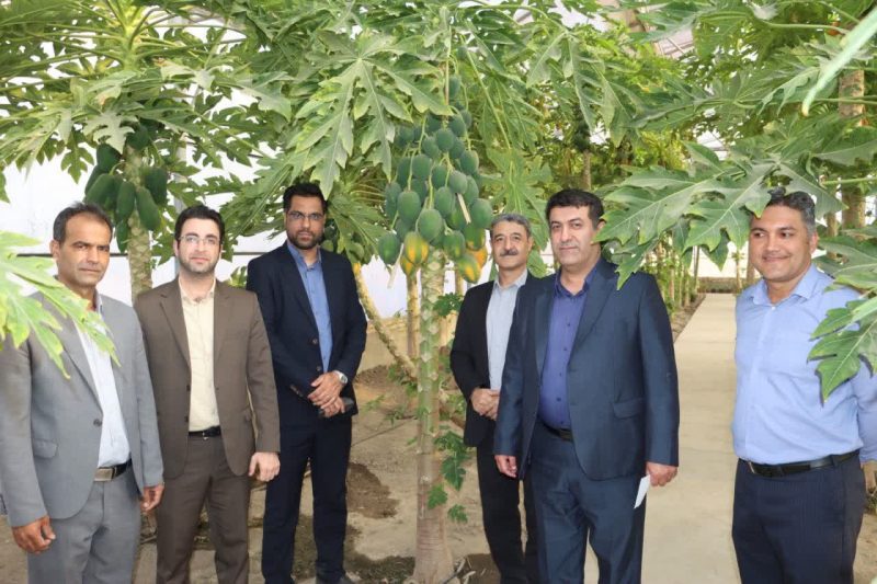 نقطه تلاقی کشاورزی و گردشگری در مسیر توسعه گلستان