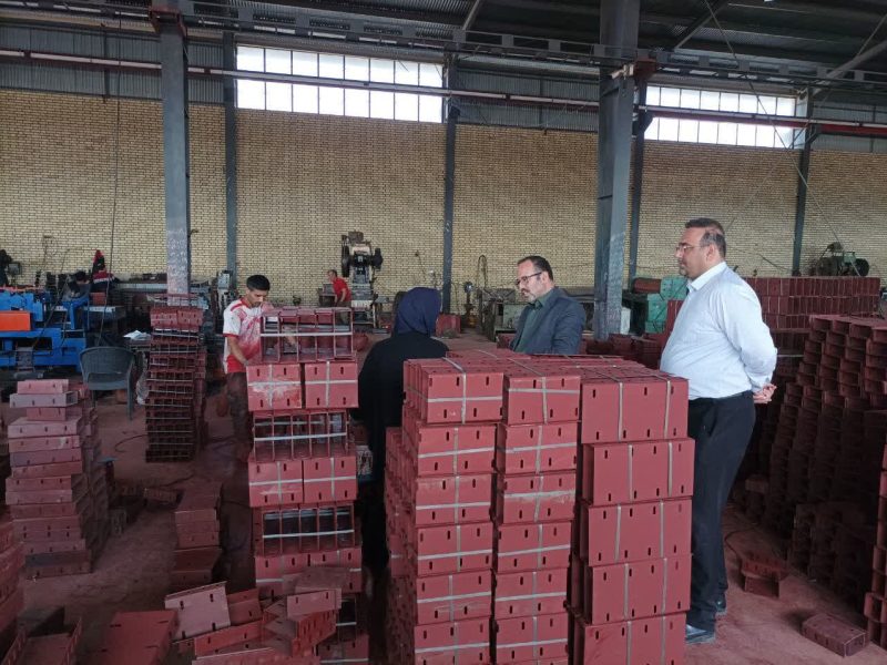 تولید گلستان زیر ذره‌بین مسئولان؛ مشکلات واحدها در مسیر توسعه رفع می‌شود