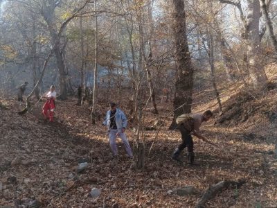 جنگل در آتش هنوز میسوزد!