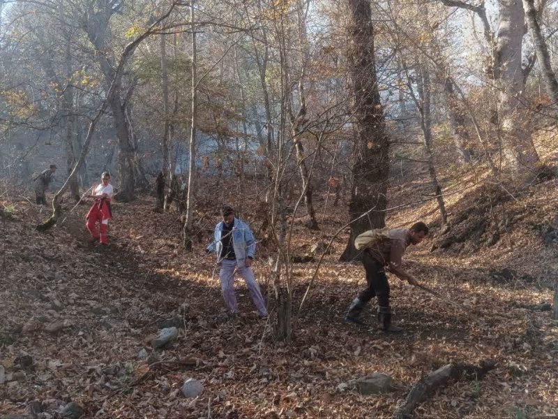 جنگل در آتش هنوز میسوزد!