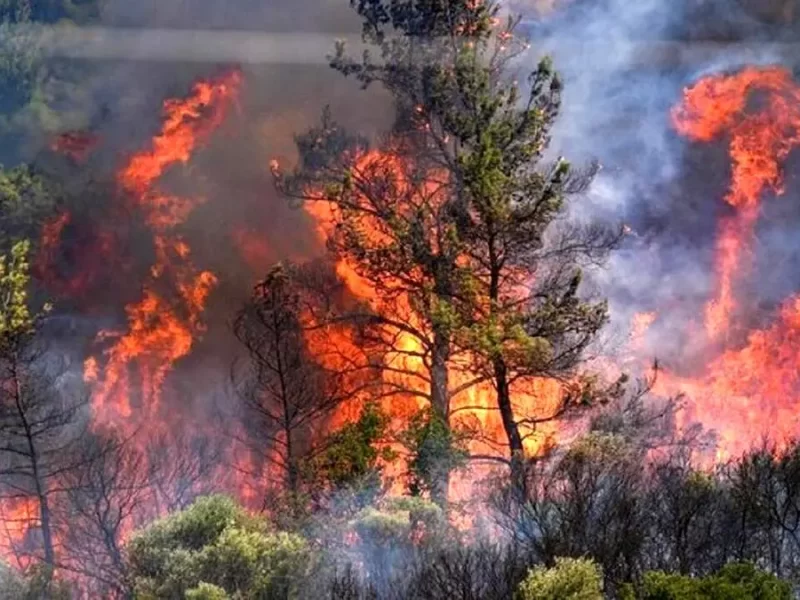 آتش در گلستان؛ حادثه‌ای که مهار شد اما پرسش‌های بزرگ را روشن‌تر کرد