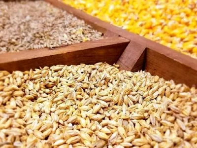 چگونه «نویپو» بانک کشاورزی از سفره مردم محافظت میکند؟