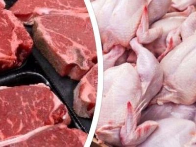 دولت کمر به حذف ارز ترجیحی نهاده‌های دامی بسته است