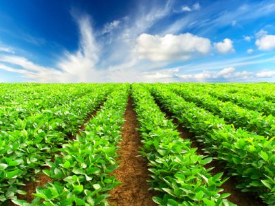 کشاورزی گلستان در نقطه هشدار