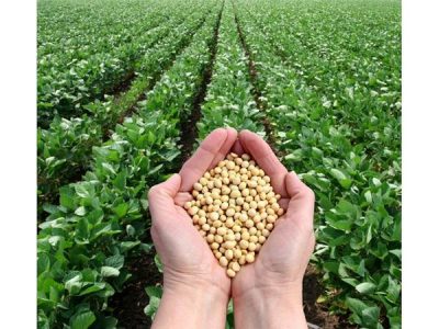 گردش ۲.۵ همت نقدینگی با محور تعاون روستایی در گلستان