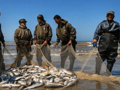 ۳۰ فرصت مهارت محور در حوزه دریایی گلستان