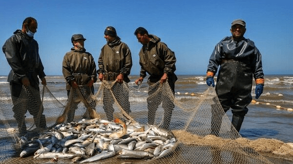 ۳۰ فرصت مهارت  محور در حوزه دریایی گلستان