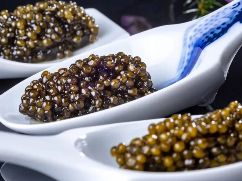 ورود گلستان به فاز تولید خاویار/پیشتازی در مسیر تولید انرزی پاک