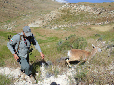 رشته «محیط‌بانی» در شورای عالی آموزش و پرورش تصویب شد